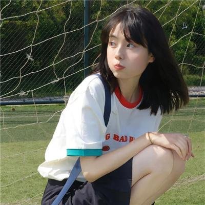 狮子狗行动