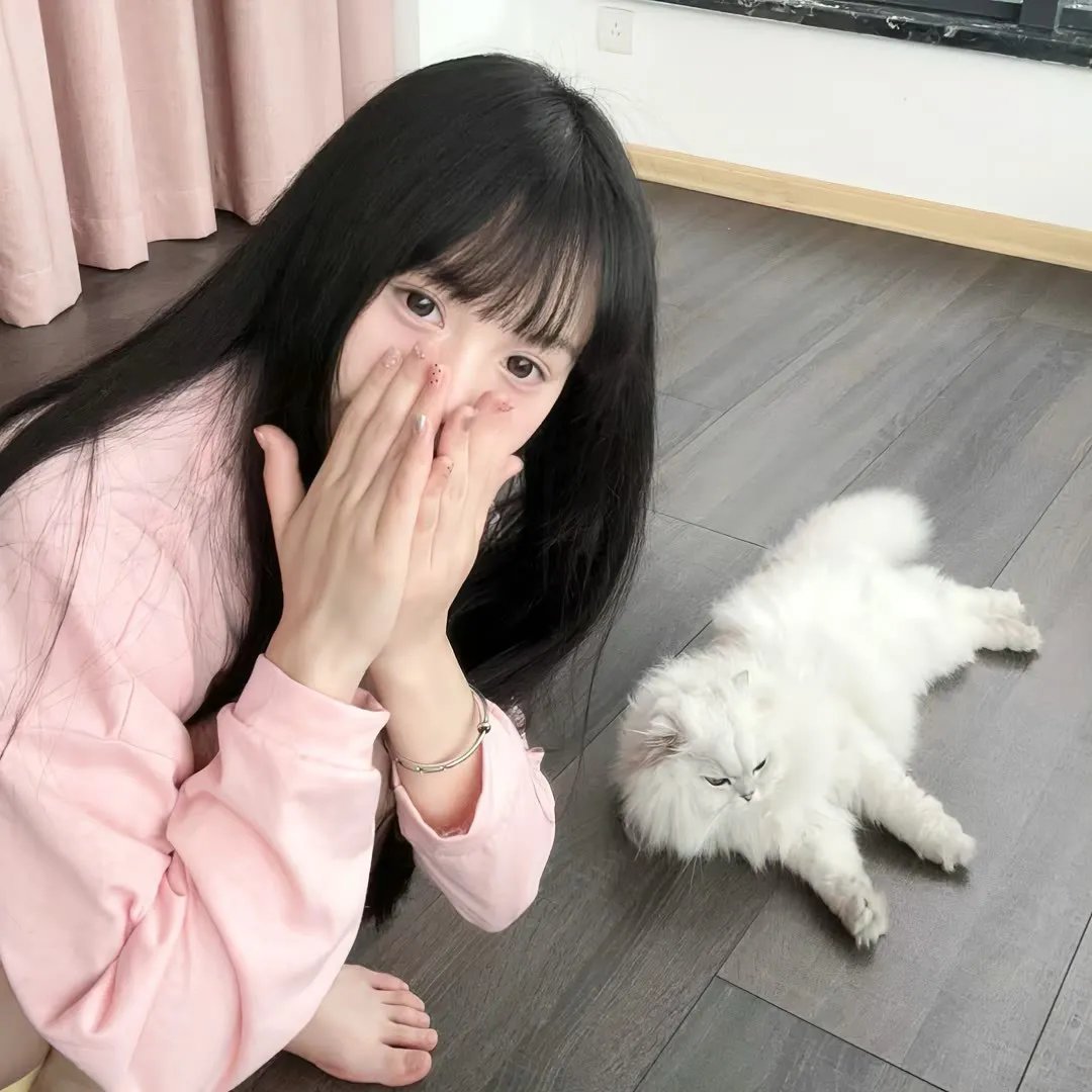 鸽战总动员