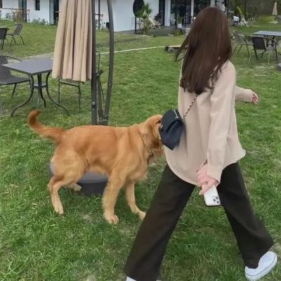 心之动力学